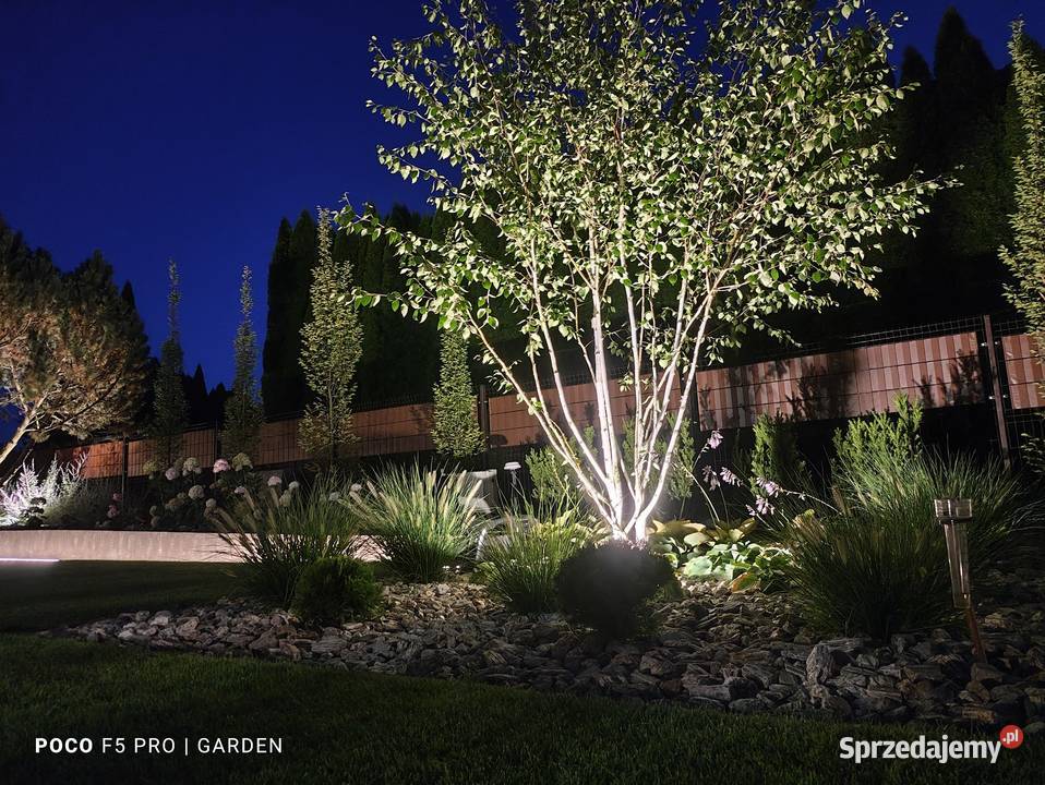 Projektowanie i Zakładanie Ogrodów Kazimierz Kazimierz Dolny