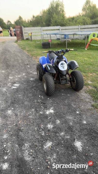 Quad 100 2t Stąporków