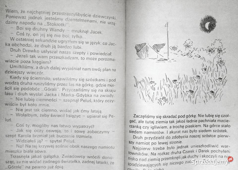 Zakochany zuch Ludmiła Marjańska