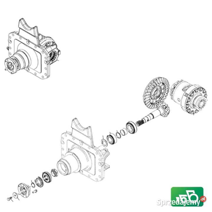 Mechanizm różnicowy CNH 87491166 87331244 Wilkowo