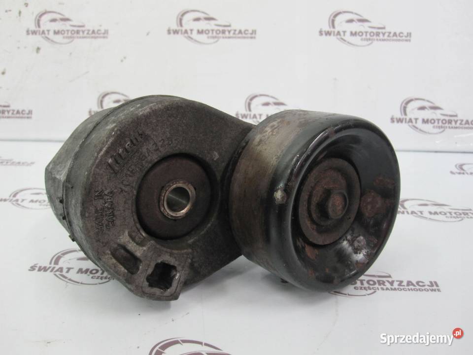 FORD TRANSIT 24 TDCI H9FA 100 napinacz paska