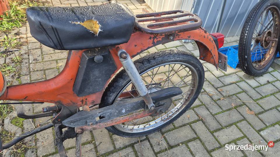 Komar zarejestrowany podlaskie Hryniewicze