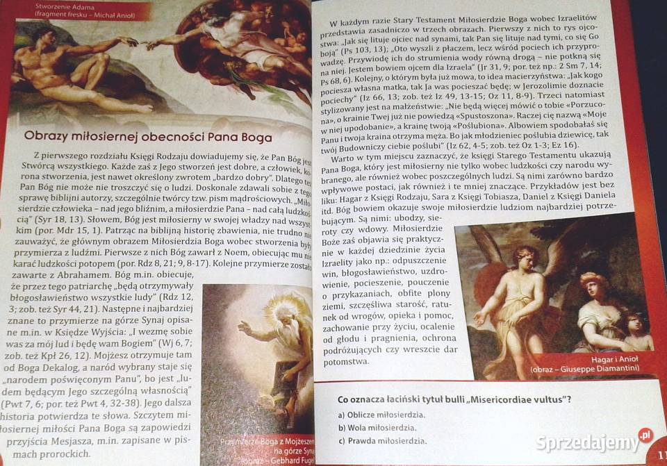 Wszystko o Bożym Miłosierdziu Geneza świadkowie