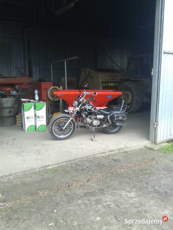 kingway chopper 50 mazowieckie Ciechanów