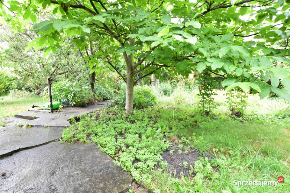 Działka rekreacyjna ROD RAi z domkiem Sprzedaż Nieruchomości Warszawa sprzedam