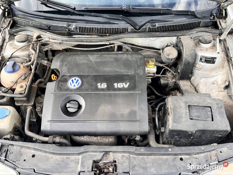 Vw bora 16 Rok produkcji 2002 Półwieś