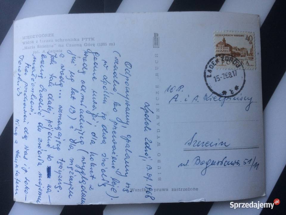 1118 Widokówka Międzygórze Antyki, Sztuka, Kolekcje