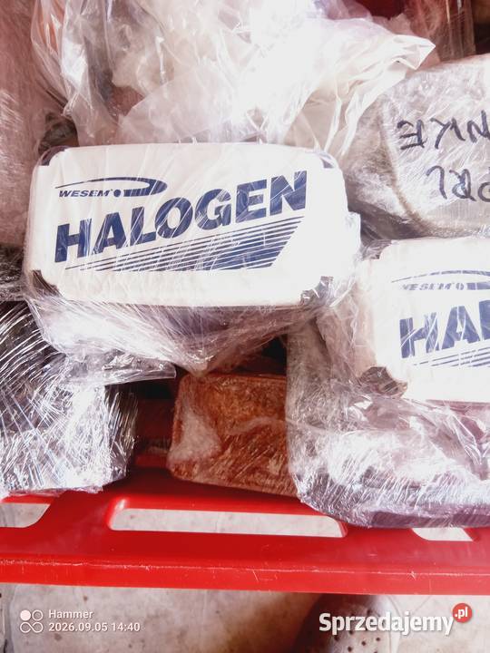 Nowe halogeny zelmot