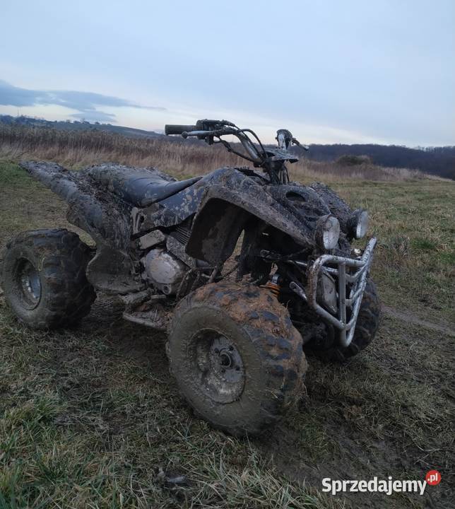 Quad 250 na wale kardana wał Kardana podkarpackie