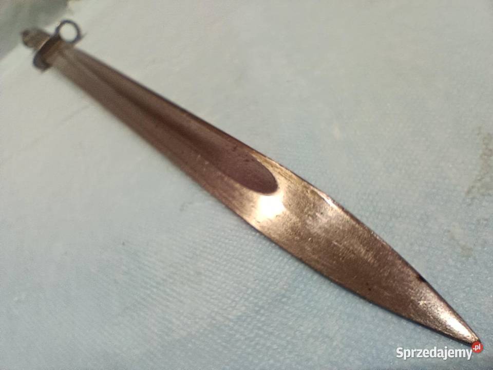 Bagnet belgijski 9824 długi łódzkie