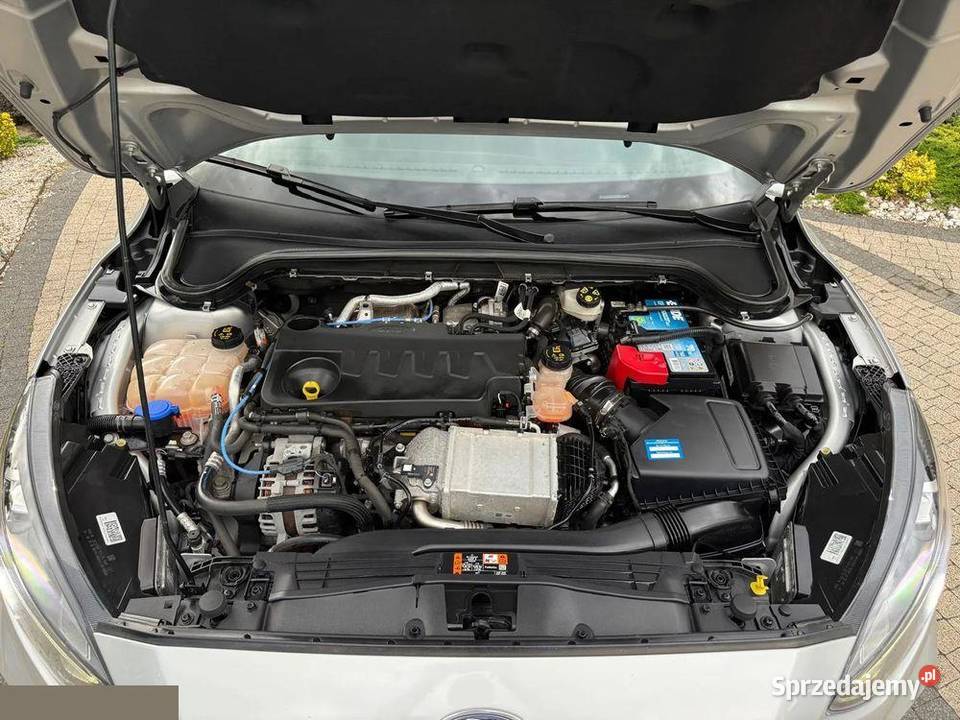 Ford Focus Turnier 20 EcoBlue StartStopSystem 1998cm3 Krotoszyn