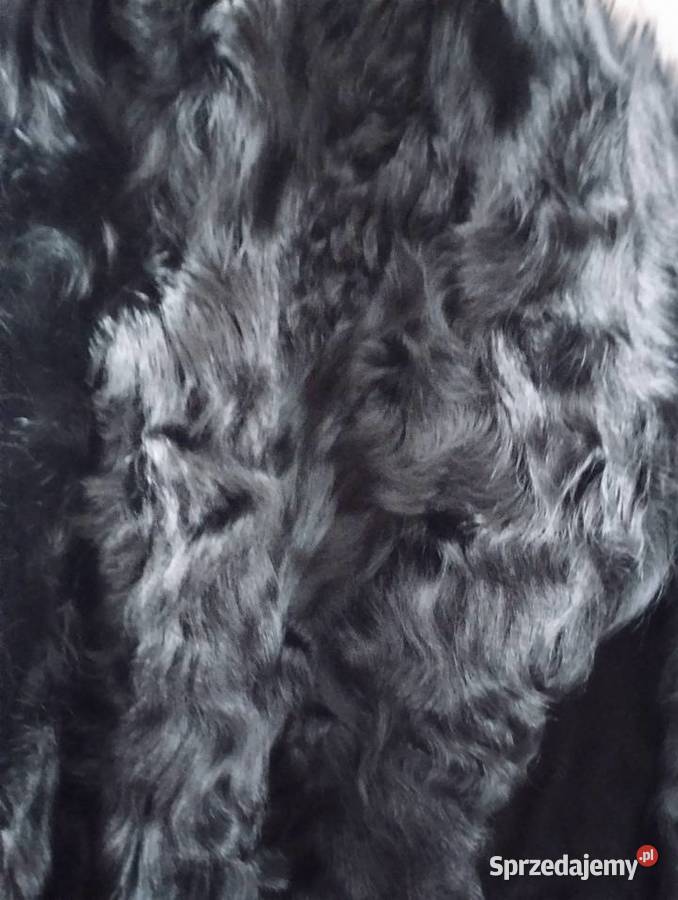 Futerko z kozy Simple Xs Bochnia