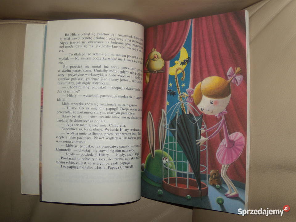 Różne rzeczy Hilarego Joanna Kulmowa Rok wydania 1988 mazowieckie Warszawa