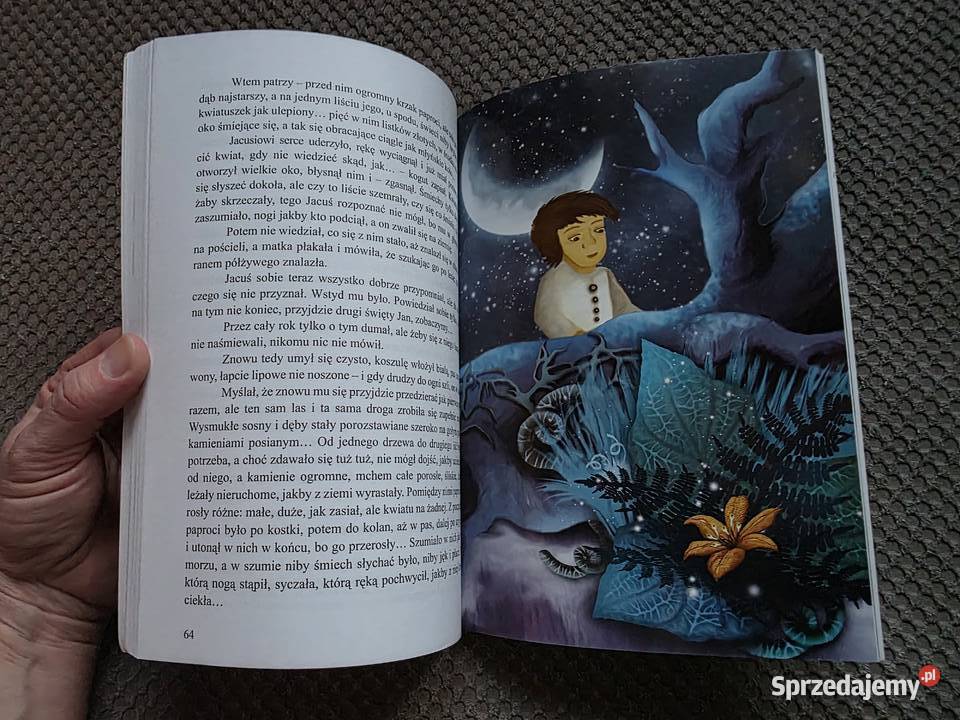 Baśnie i klechdy polskie Kraków