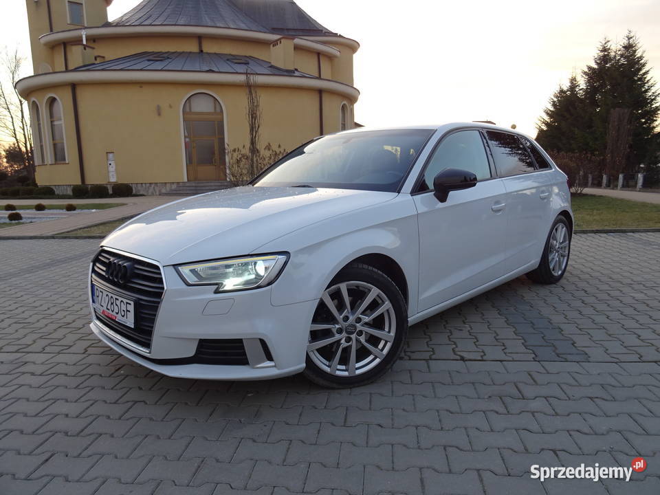 Audi A3 Serwisowany Zarejestrowany Navi Xenon 20 reflektory ksenonowe podkarpackie Rzeszów