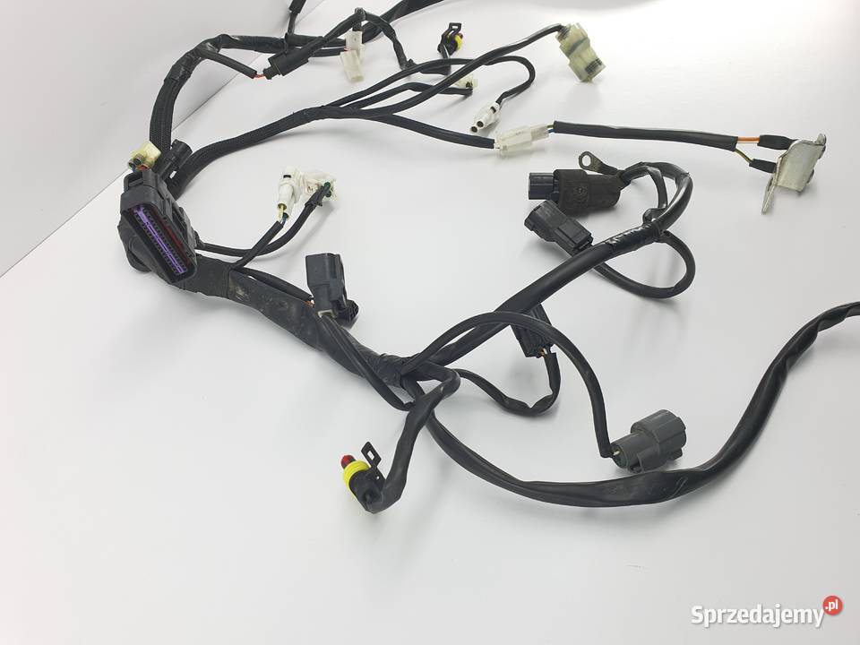 Wiazka Silnika Instalacja Wtyczka Kostka Układ elektryczny, zapłon łódzkie Łódź