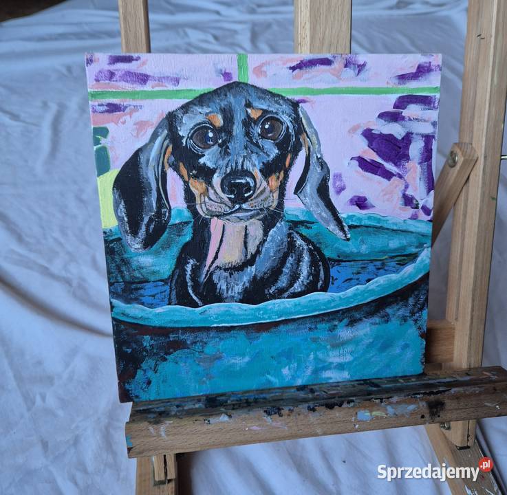 Obraz jamnik jamniczek artysty na prezent na