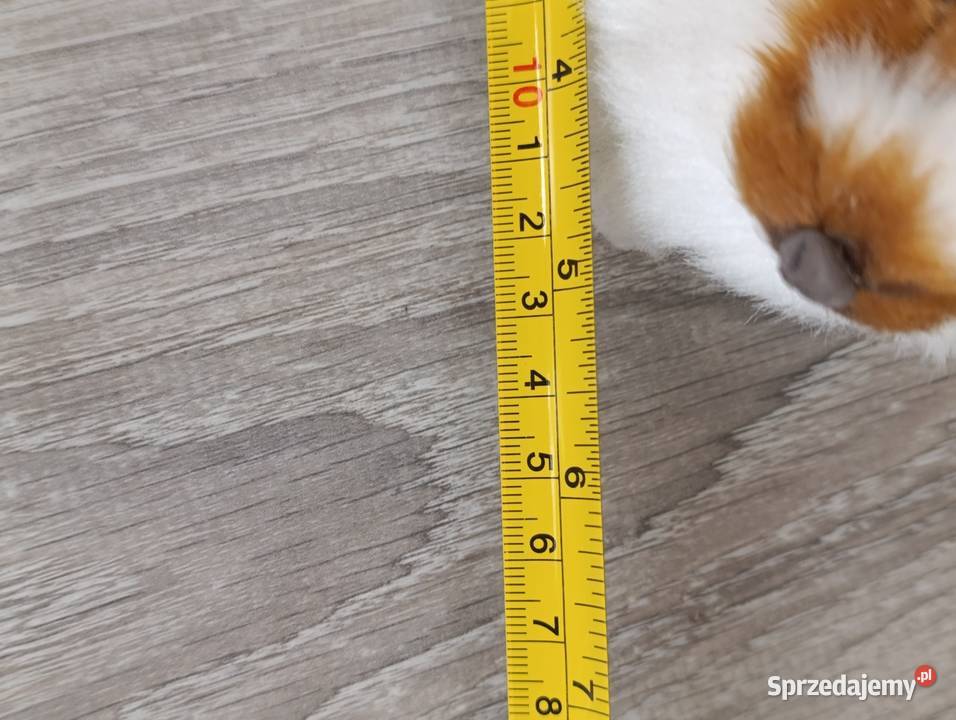 króliczek królik figurka Poznań