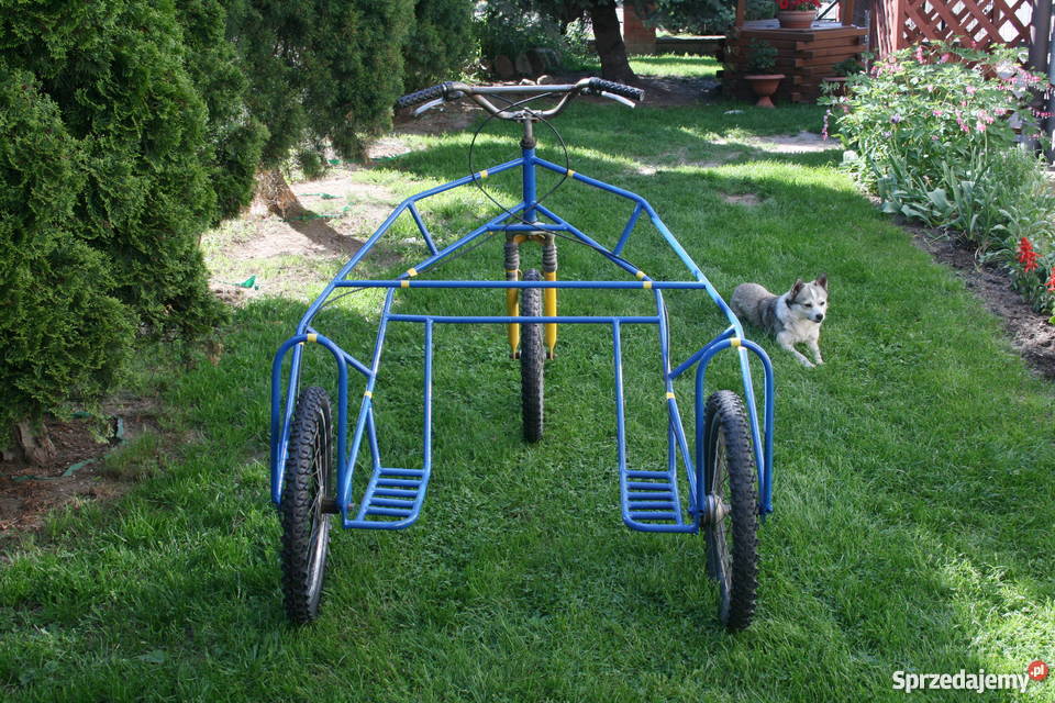 Wózek trójkołowy i Sanie sprinterskie do psich Połaniec