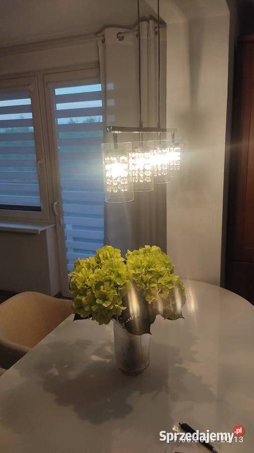 Lampa sufitowa wisząca srebrna Kędzierzyn-Koźle