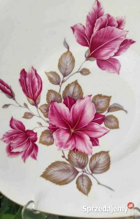 PIĘKNA DUŻA  PATERA BAVARIA WINTERLING ROSLAU  Porcelana i szkło łódzkie