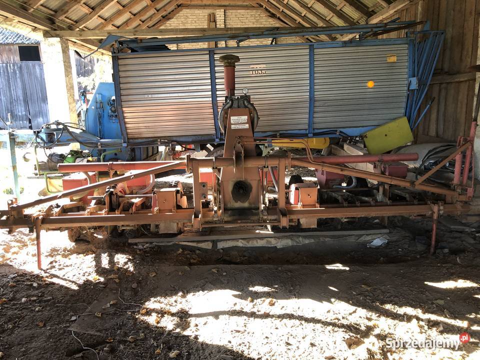 Siewnik do kukurydzy 6rzędowy Poznaniak Radwanów-Kolonia