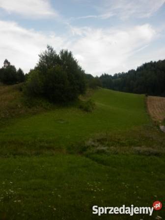 Sprzedam działkę w górach Milik