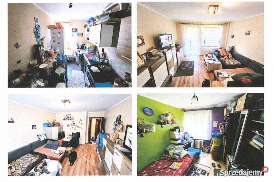 Syndyk sprzeda udział 16 w lokalu mieszkalnym 3 piętra i więcej dolnośląskie Zawidów