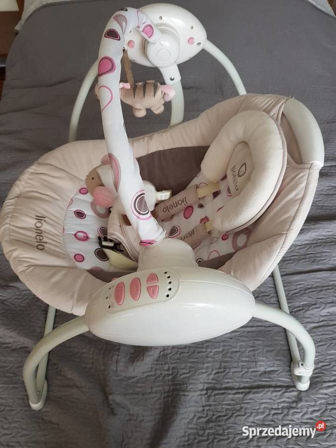 Bujaczek Linoelo Ruben podkarpackie