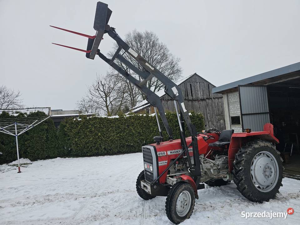 Massey ferguson mf 255 łódzkie