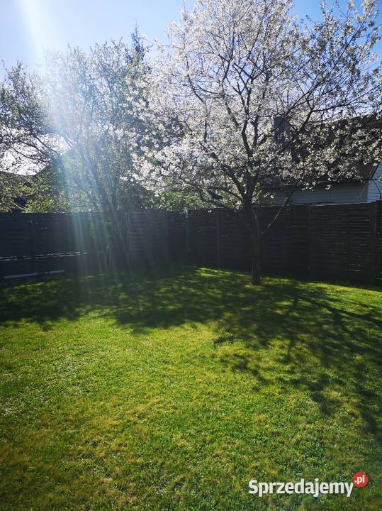 Działka rekreacyjna ROD Jaroszówka Białystok