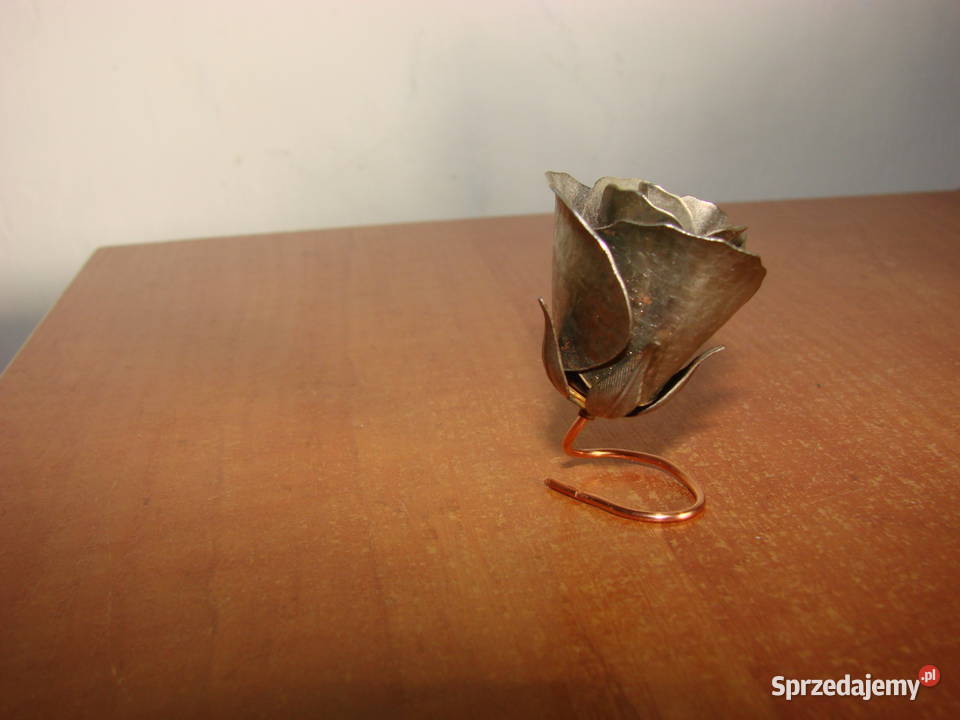 kwiat róży plater pomorskie