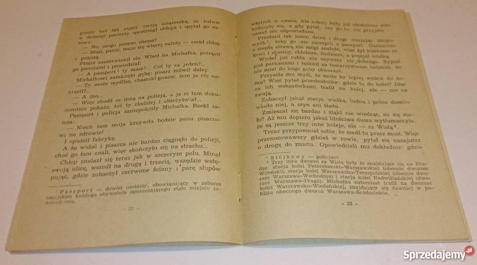 Bolesław Prus Michałko Książka Rogoźnik