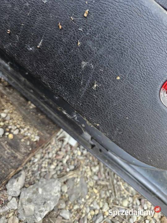 Drzwi Volkswagen Bora osobowe mazowieckie Łagów