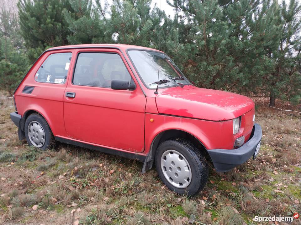 Mój mały Fiacik Warszawa