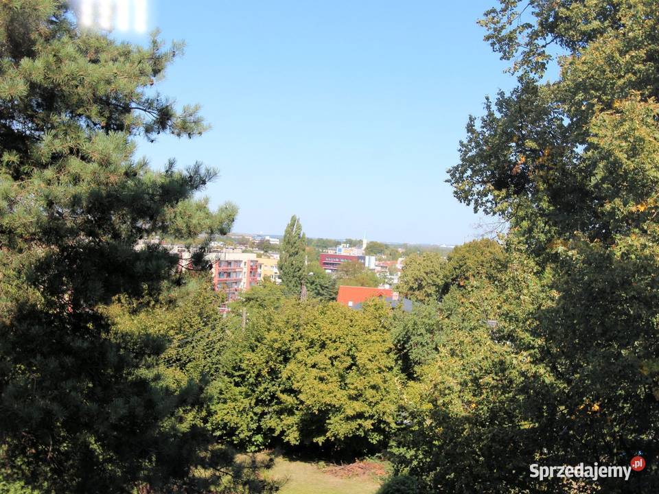 Mieszkanie na sprzedaż Mikołów 483 m