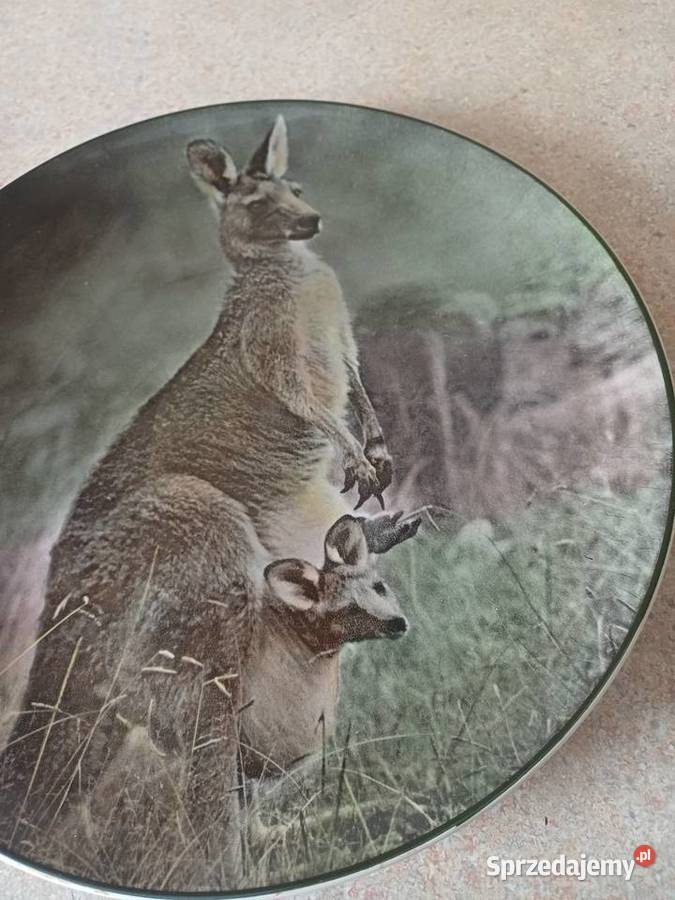 vintage kolekcjonerski talerz Porcelana i szkło Antyki, Sztuka, Kolekcje małopolskie Nowy Targ