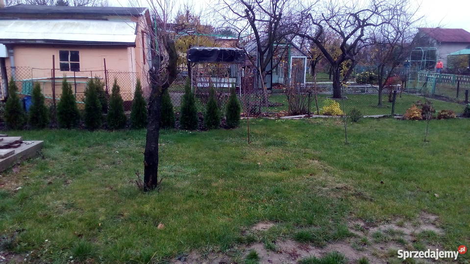 Sprzedam ogródek działkowy na ogrodzie Stokrotka