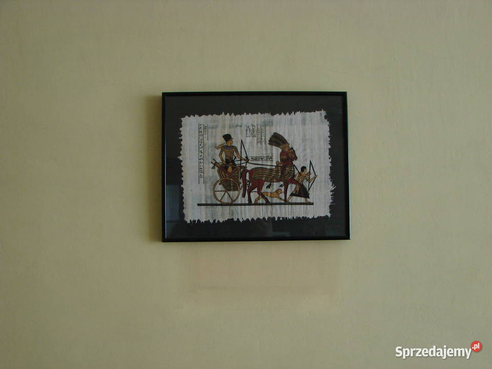 Obraz papirus 305x245 w ramce Lublin sprzedam