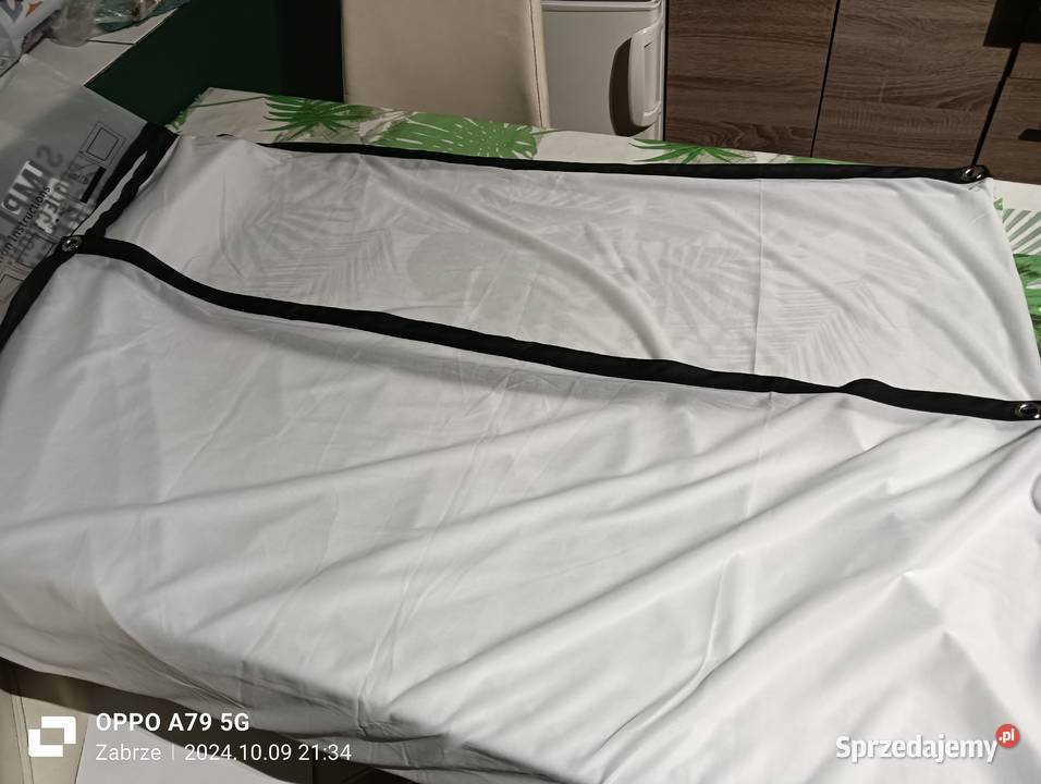 Ekran projekcyjny4K 100