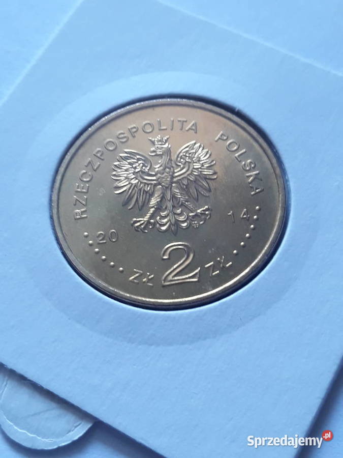 2 Polska Reprezentacja OlimpijskaSoczi 2014 2014 Konin