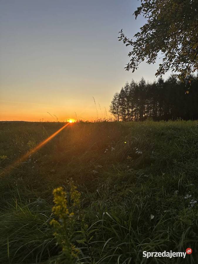 Na sprzedaż działki budowlane podkarpackie Wola Krzywiecka sprzedam