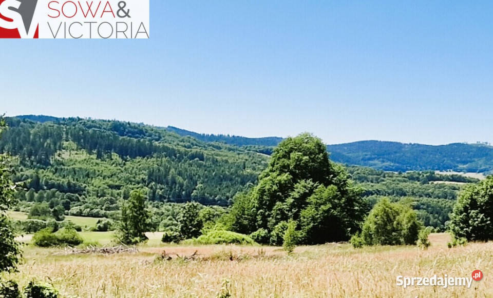 Natura Przestrzeń Spokój i Góry Sowie