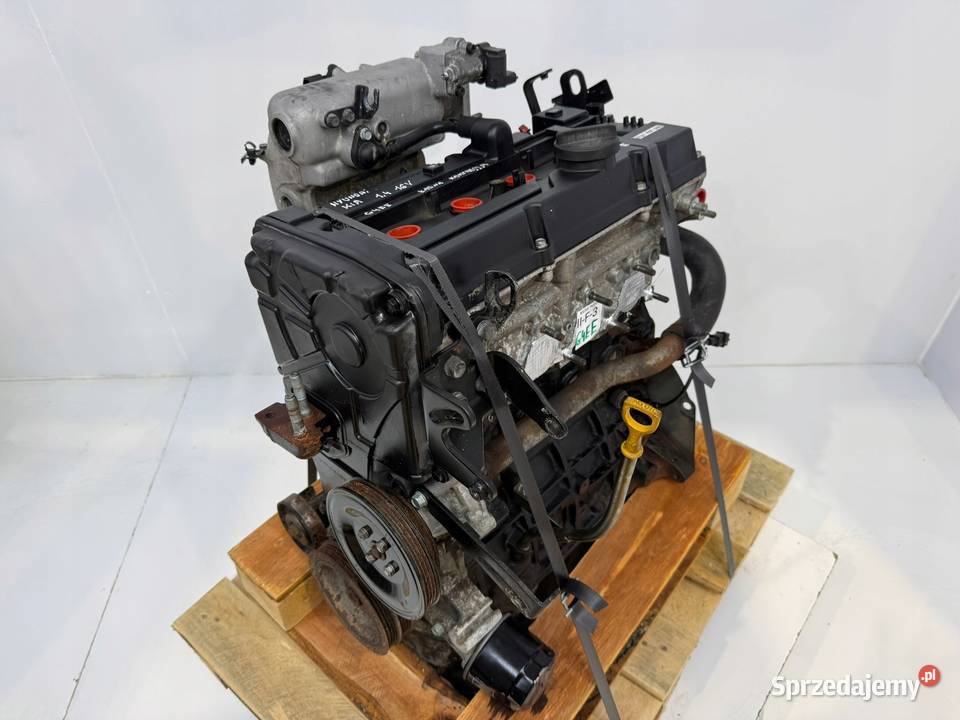 SILNIK G4EE Hyundai Accent III MC Getz TB Kia lubelskie Chełm
