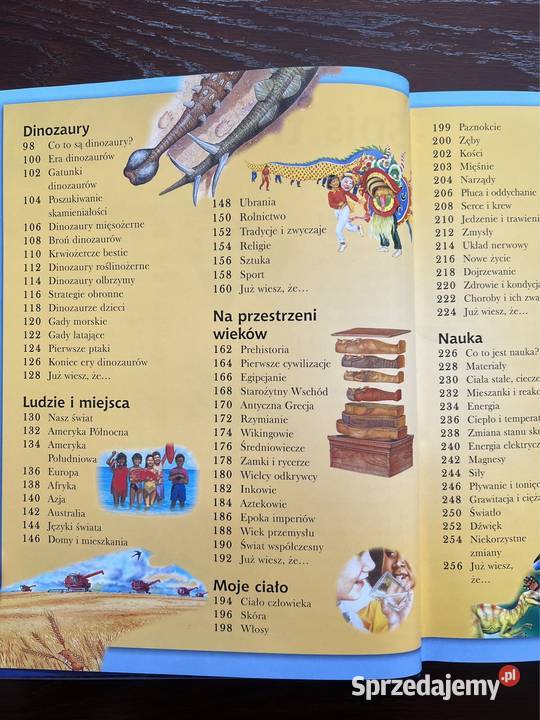 Wszystko co wiedzieć encyklopedia dzieci śląskie Częstochowa