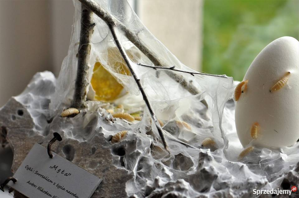 MGŁA Instalacja artystyczna Współczesna Sztuka współczesna wielkopolskie Radzewice sprzedam