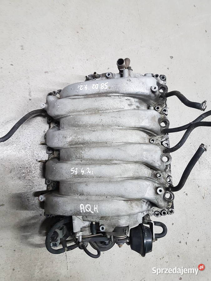 AUDI S8 A8 D2 42 AQH KOLEKTOR SSACY GRUSZKA Turek