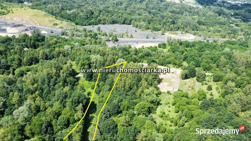 Działka Mszana 3550m2