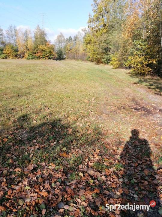 Syndyk sprzeda nieruchomość gruntową w Kukawkach Kukawki