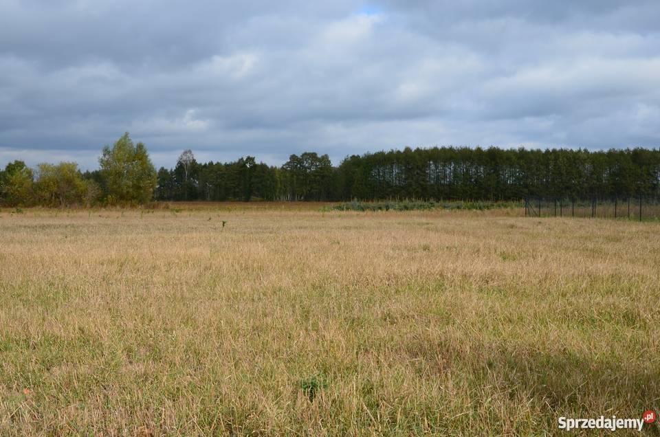 Piękna działka jez Białe mazowieckie Gostynin